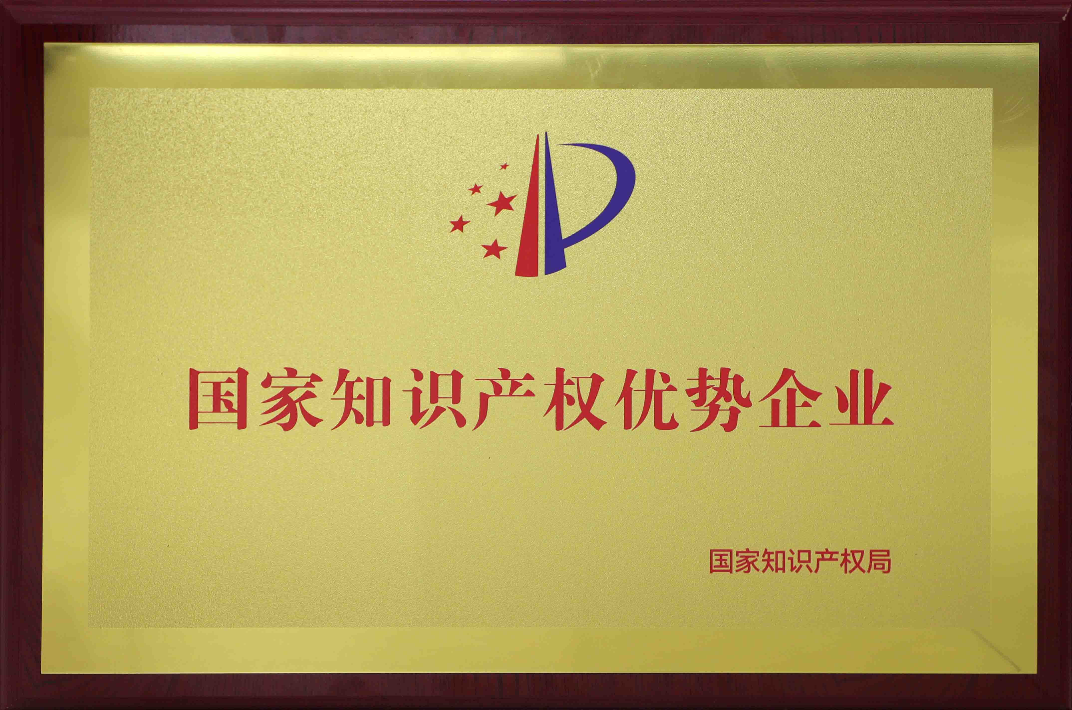 國家知識產(chǎn)權優(yōu)勢企業(yè).jpg